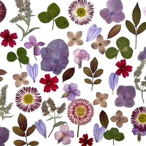 Real pressed dried flowers, Dried flowers,  Pressed flowers, Mix of dried flowers for resin