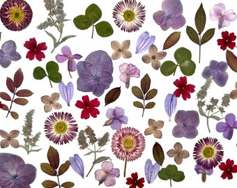 Real pressed dried flowers, Dried flowers,  Pressed flowers, Mix of dried flowers for resin