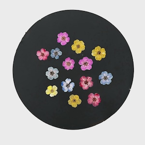 May include: A collection of small, pressed flowers in shades of pink, yellow, and light blue arranged on a circular black surface. The flowers feature five distinct petals and a central stamen, showcasing natural textures and varied color tones.
