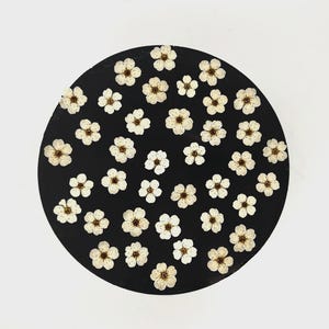 May include: A circular black disc featuring a scattered pattern of small, pressed white flowers with five petals and brown centers. The floral arrangement is distributed across the entire surface of the dark, smooth, round object.
