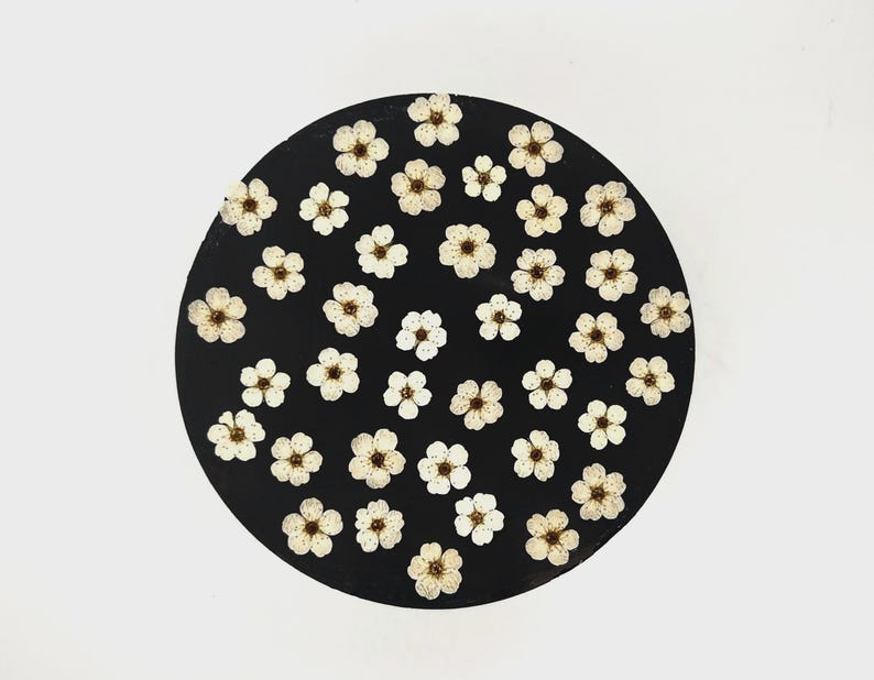 May include: A circular black disc featuring a scattered pattern of small, pressed white flowers with five petals and brown centers. The floral arrangement is distributed across the entire surface of the dark, smooth, round object.