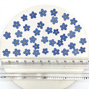 May include: A circular off-white surface decorated with numerous small, pressed blue flowers with yellow centers. A clear plastic ruler is positioned across the bottom, showing the object has a diameter of approximately 4.75 inches.