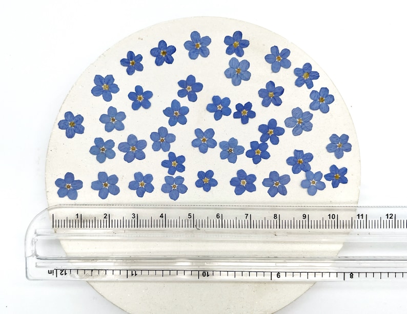 May include: A circular off-white surface decorated with numerous small, pressed blue flowers with yellow centers. A clear plastic ruler is positioned across the bottom, showing the object has a diameter of approximately 4.75 inches.