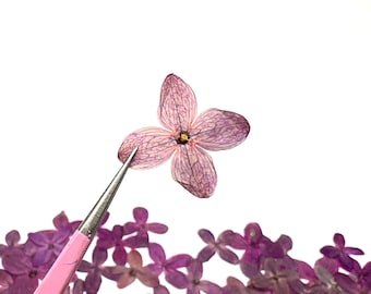 Lilac flowers, Set of 10-20-30, Small purple flowers, Real pressed dried flowers, Real pressed dried leaves