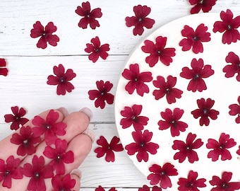 Verbena pressed flowers, Red pressed dried flowers, Dried flowers, Pressed flowers, Craft, Dried flowers for resin