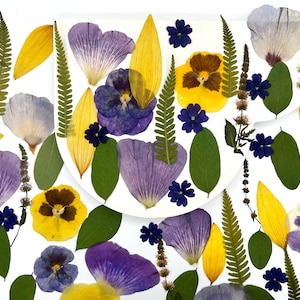 Real pressed dried flowers, Dried flowers,  Pressed flowers, Edible flowers Mix of dried flowers for resin