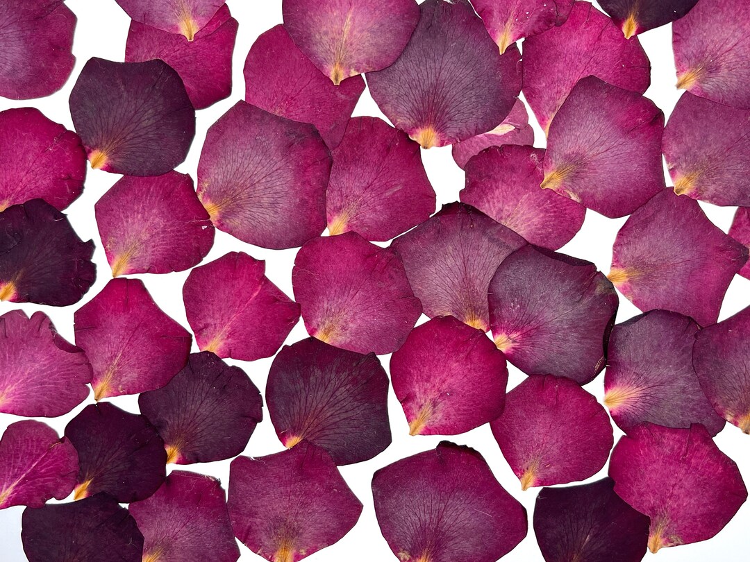 Rose Petals, Real Pressed Dried Flowers, Dried Flowers, Edible Flower ...