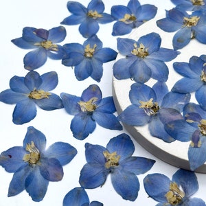 May include: A collection of dried blue delphinium flowers with yellow centers, scattered on a white surface and a small, round, white platform. The flowers have multiple petals and are in various stages of bloom.