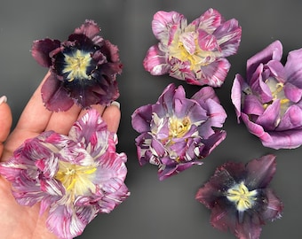 Real Tulips, Dried flowers, Set from photo