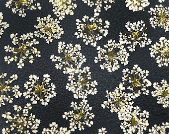 Queen Anne's Lace pressed flowers, Edible flowers, Edible flowers for cake decoration, Dried flowers, Cake flowers, Pressed flowers