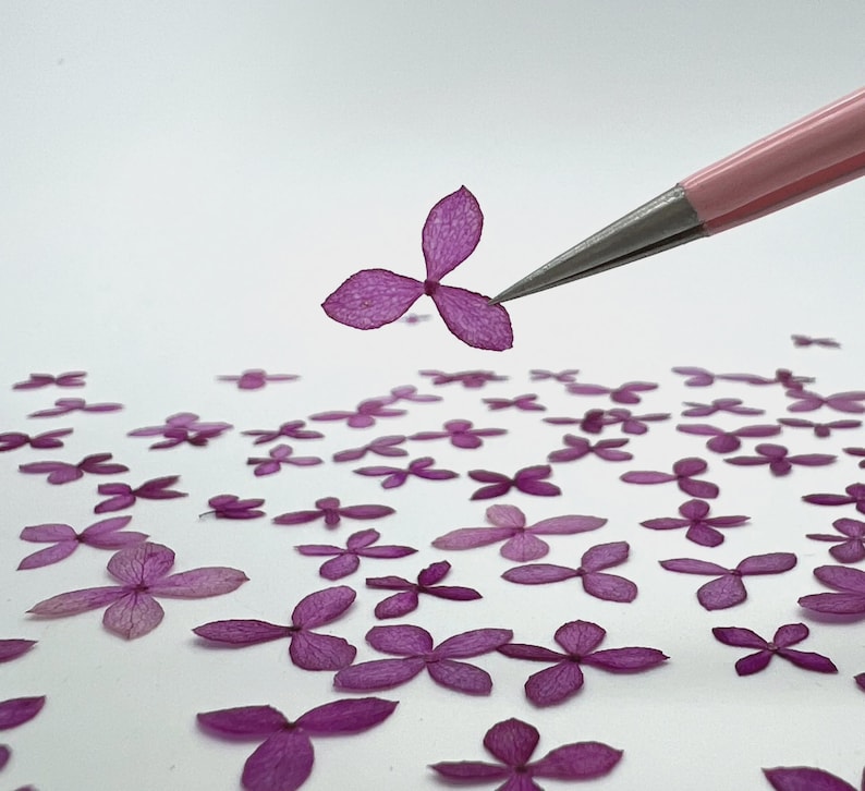 May include: A collection of small, pressed purple hydrangea petals scattered across a plain surface, with a pair of light pink tweezers holding a single three-petaled flower segment in the air to display its delicate, translucent texture.