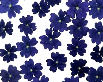 Verbena flowers, Real pressed dried flowers, Dried flowers, Real pressed dried leaves, Pressed flowers, Blue flowers for craft