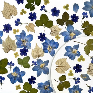 Real pressed dried flowers, Dried flowers,  Pressed flowers, Red dried flowers for resin