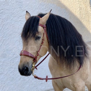 Baroque horse bridle Lazypony, handcrafted leather decorated bridle with conchos, baroque headstall, fancy bridle, personalized bridle