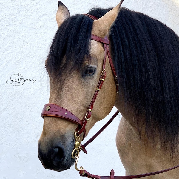 Baroque horse bridle Lazypony, custom leather fancy bridle with wide noseband