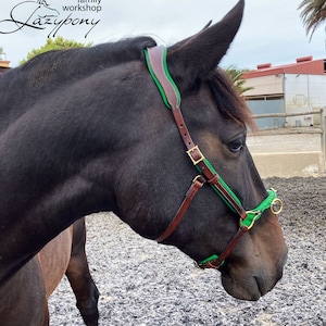 French baroque style cavesson Lazypony, handmade cavesson for groundwork, chain cavesson