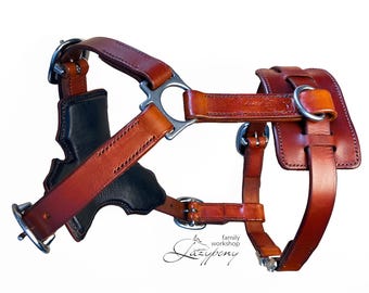 Handcrafted leather dog harness Lazypony, anatomic H-shape, large dog