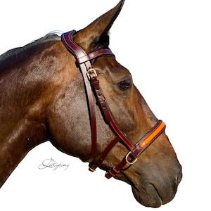 Lazypony Sidepull-Zaumzeug aus Leder, anatomisch geformtes gebissloses Pferdezaumzeug mit lackiertem Nasenriemen und Stirnband
