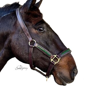 Patent Leather Horse Halter