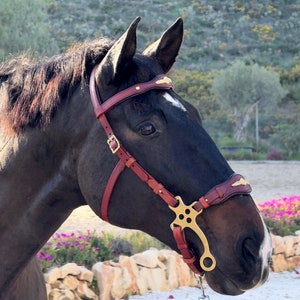 Baroque hackamore bridle Lazypony, handcrafted horse bitless bridle, leather custom headstall, anatomical horse bridle