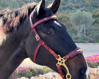 May include: A close-up of a dark brown horse wearing a burgundy leather bridle with gold-colored accents. The bridle has a decorative browband and a matching noseband. The horse is outdoors with a blurred background of trees and a stone wall.