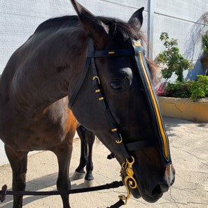 Puede incluir: Un caballo de color marrón oscuro lleva una brida de cuero negro con herrajes metálicos dorados y una muserola y frontalera con rayas amarillas y negras. La brida cuenta con correas ajustables y un bocado dorado decorativo.