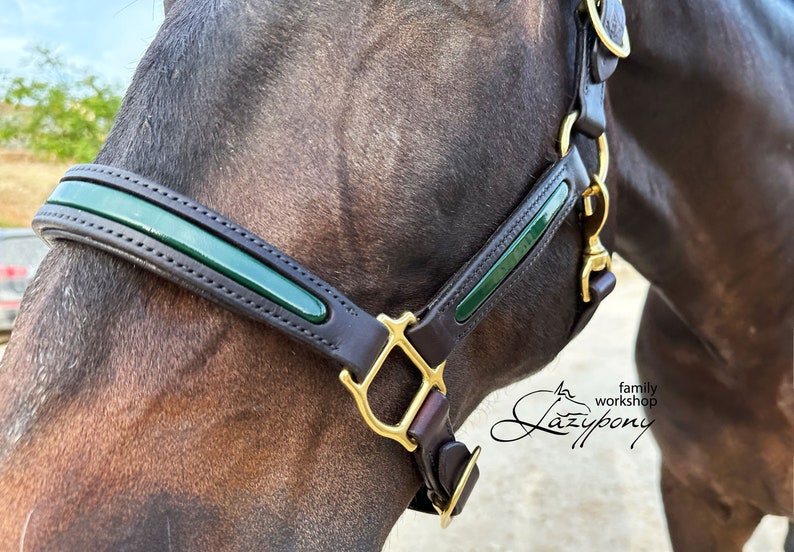 Custom leather horse halter with glossy patent details