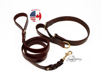 Leather Martingale Collar & Leash Lazypony, Custom Limited Slip Collar Set