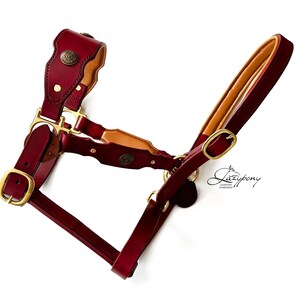 Leather horse headcollar with conchos and rivets