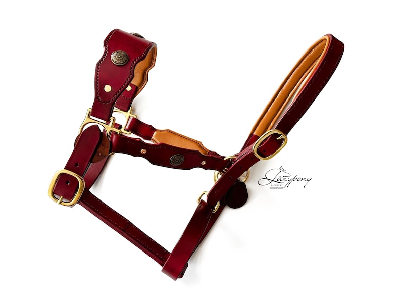 Leather horse headcollar with conchos and rivets