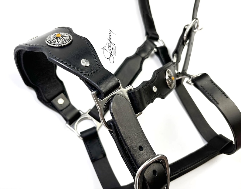 Handmade padded horse halter in baroque style