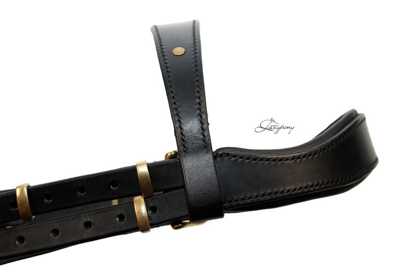 Anatomical horse bridle
