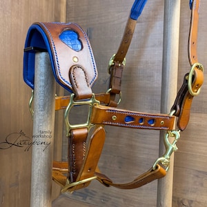 Anatomic leather halter Heart Lazypony, fancy handmade horse halter, halter with two buckles, decorated headstall