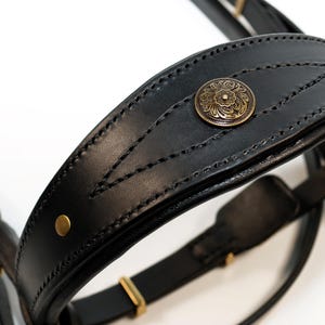 fancy horse bridle