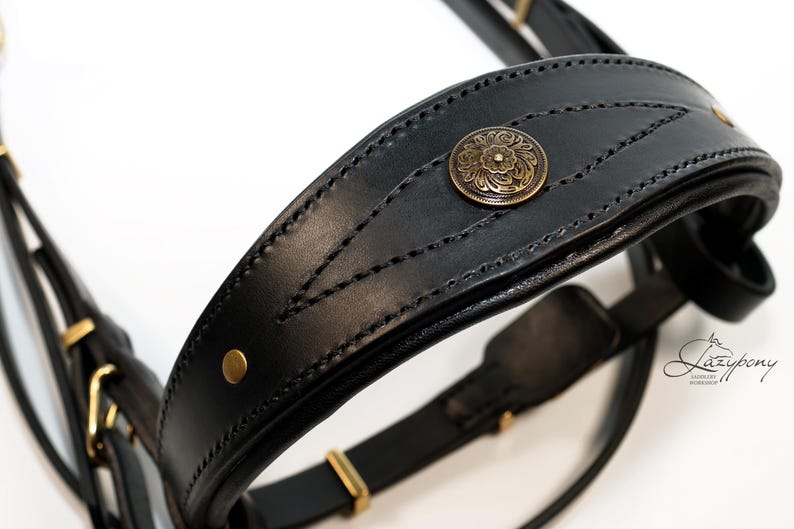 fancy horse bridle