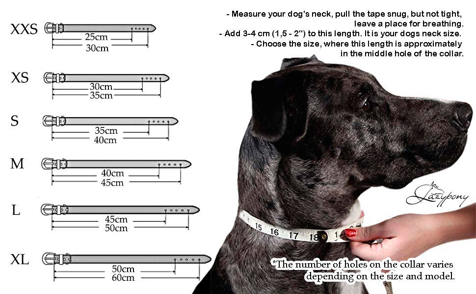 Spiked Studded Leather Dog Collar Wolf Lazypony Collar With Spikes Custom Collar Personalized Dog Collar Wide Leather Dog Collar Etsy Canada