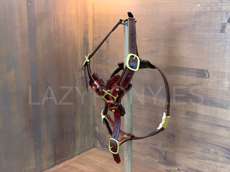 Maysy Leather Harness