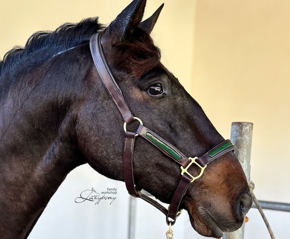 Patent leather halter Lazypony, handmade lack horse headstall