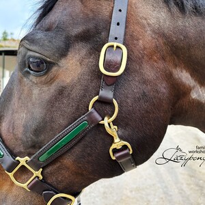 Leather halter for horses with adjustable noseband