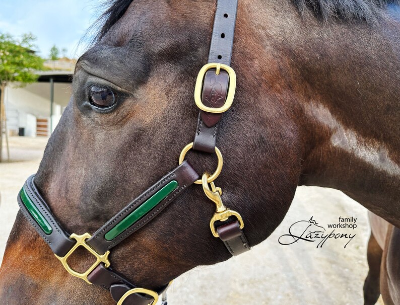 Leather halter for horses with adjustable noseband