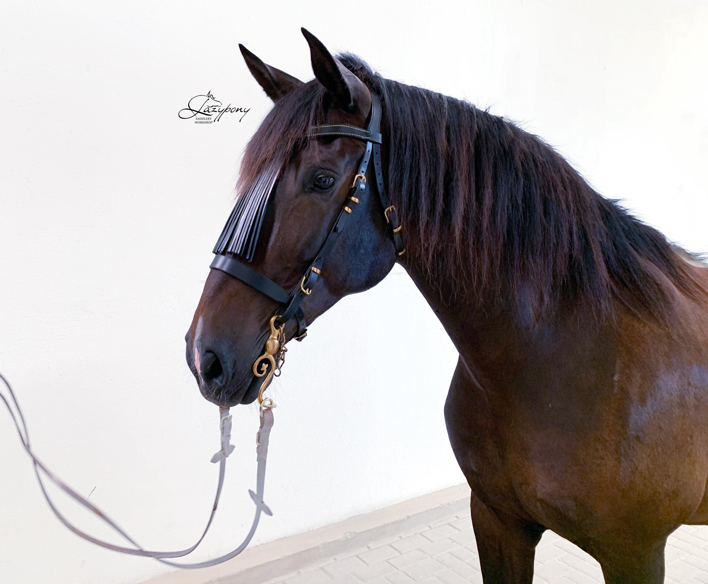 Bride cheval fantaisie personnalisée Hackamore avec ornements en cuir