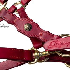 custom Padded Adjustable Horse Headcollar