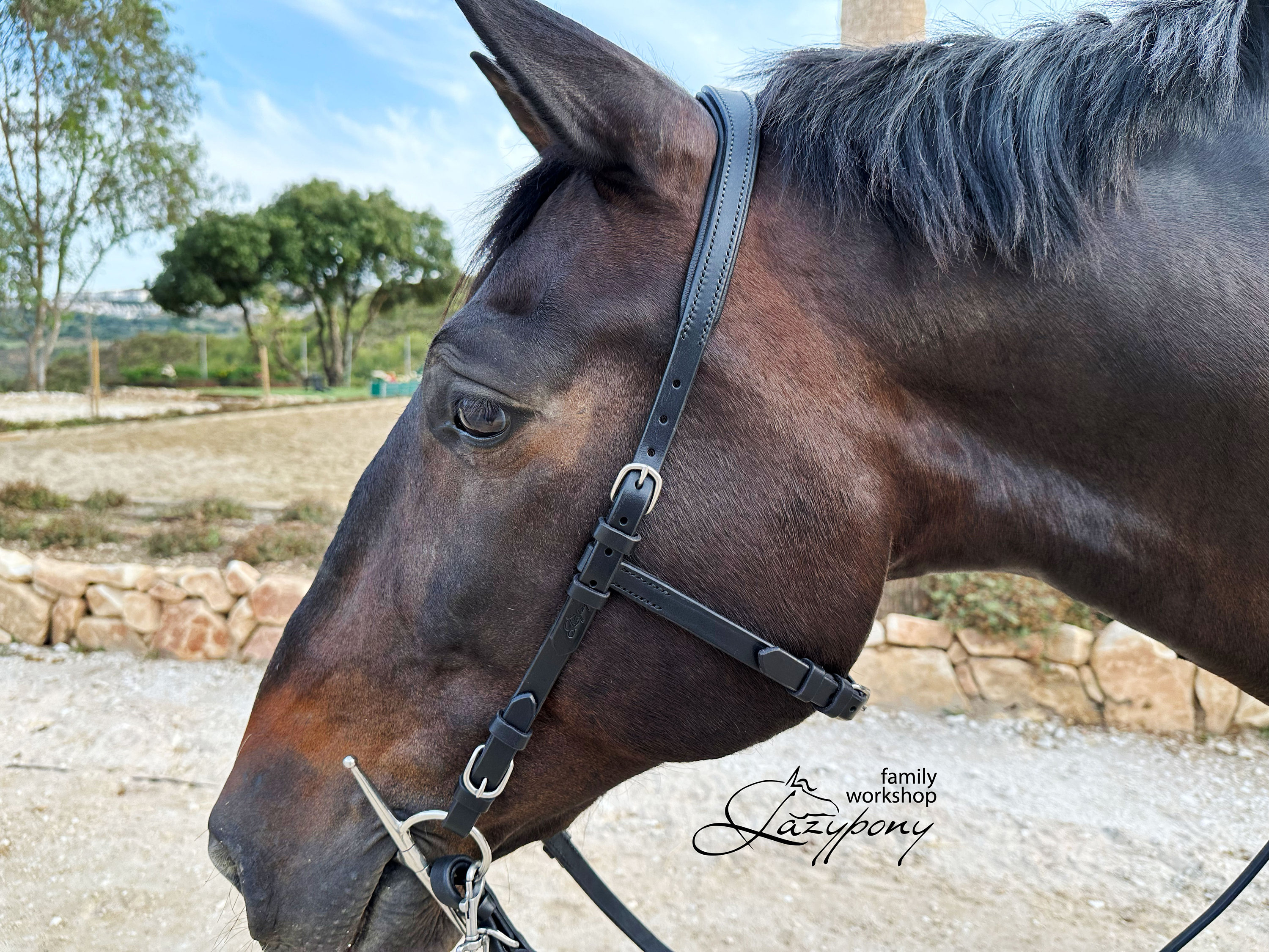 Anatomical french bridle Lazypony with reins, leather bridle, horse headstall, bridle without noseband, classic academic dressage headpiece