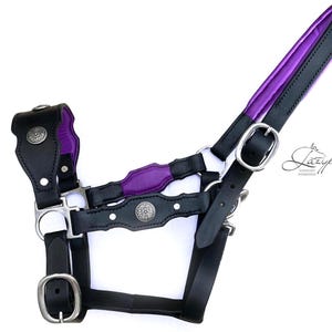 Baroque leather headcollar for horses and ponies