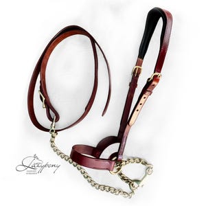 Leather Show halter Lazypony, handmade horse headcollar with chain lead rope