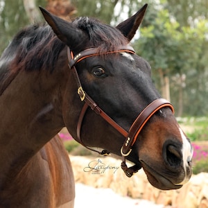 Sidepull Classic Lazypony, bitless leather bridle, custom handcrafted horse sidepull headstall