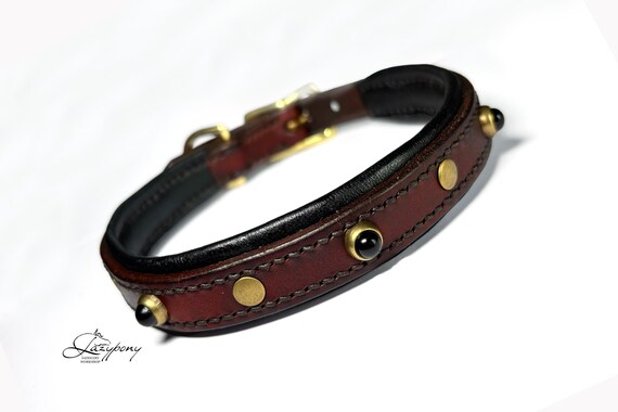 Leder Hundehalsband Mit Nieten – Für Kleine & Mittelgroße Hunde, 5-fach Verstellbar, Mit D-Ring