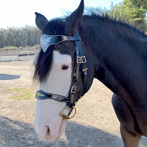 Celtic horse bridle Lazypony, fancy handmade bridle, medieval bridle
