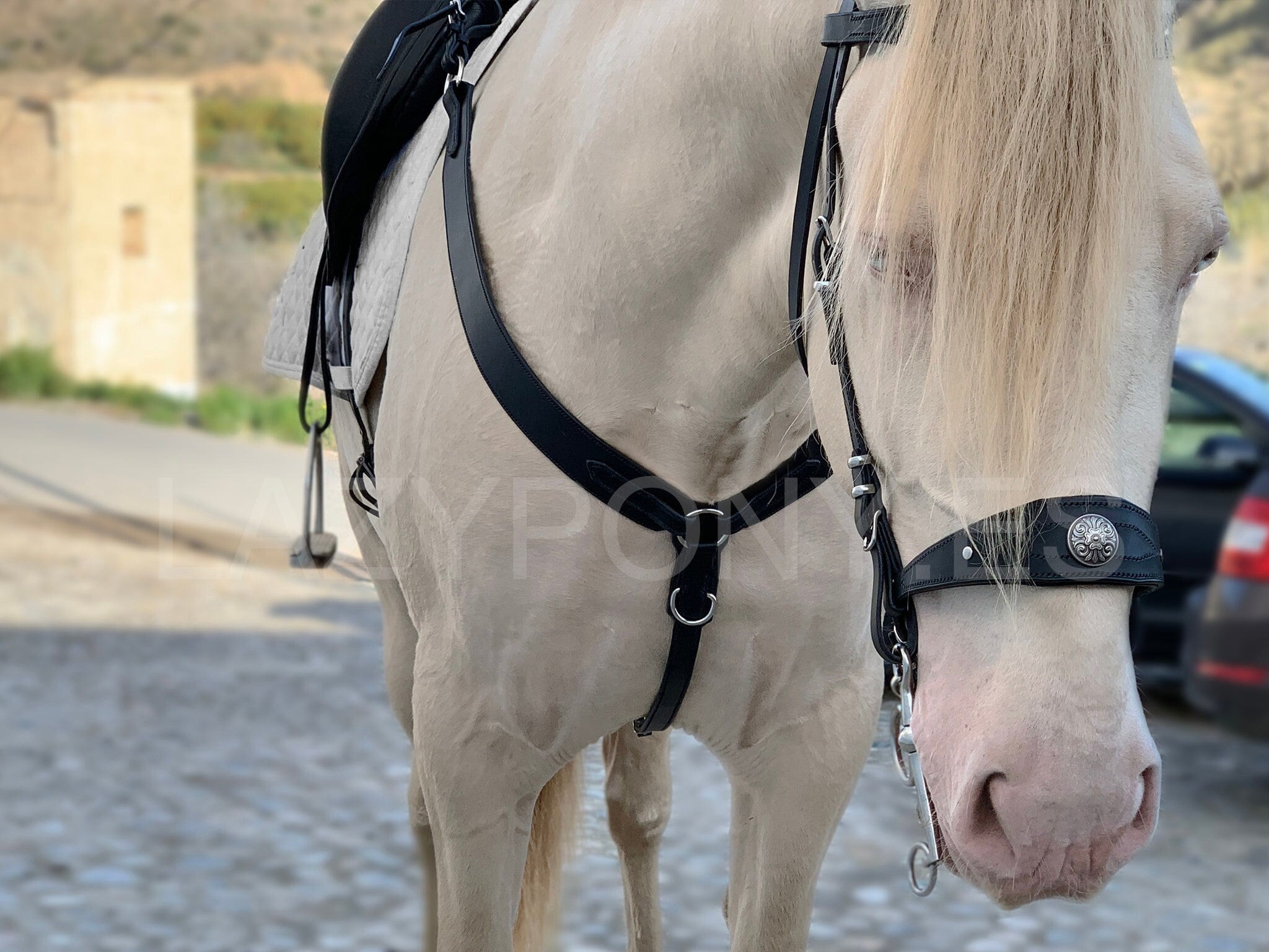 Western breastplate Lazypony, handmade leather horse breastplate, leather horse breast collar, wide breast collar, custom horse breastplate
