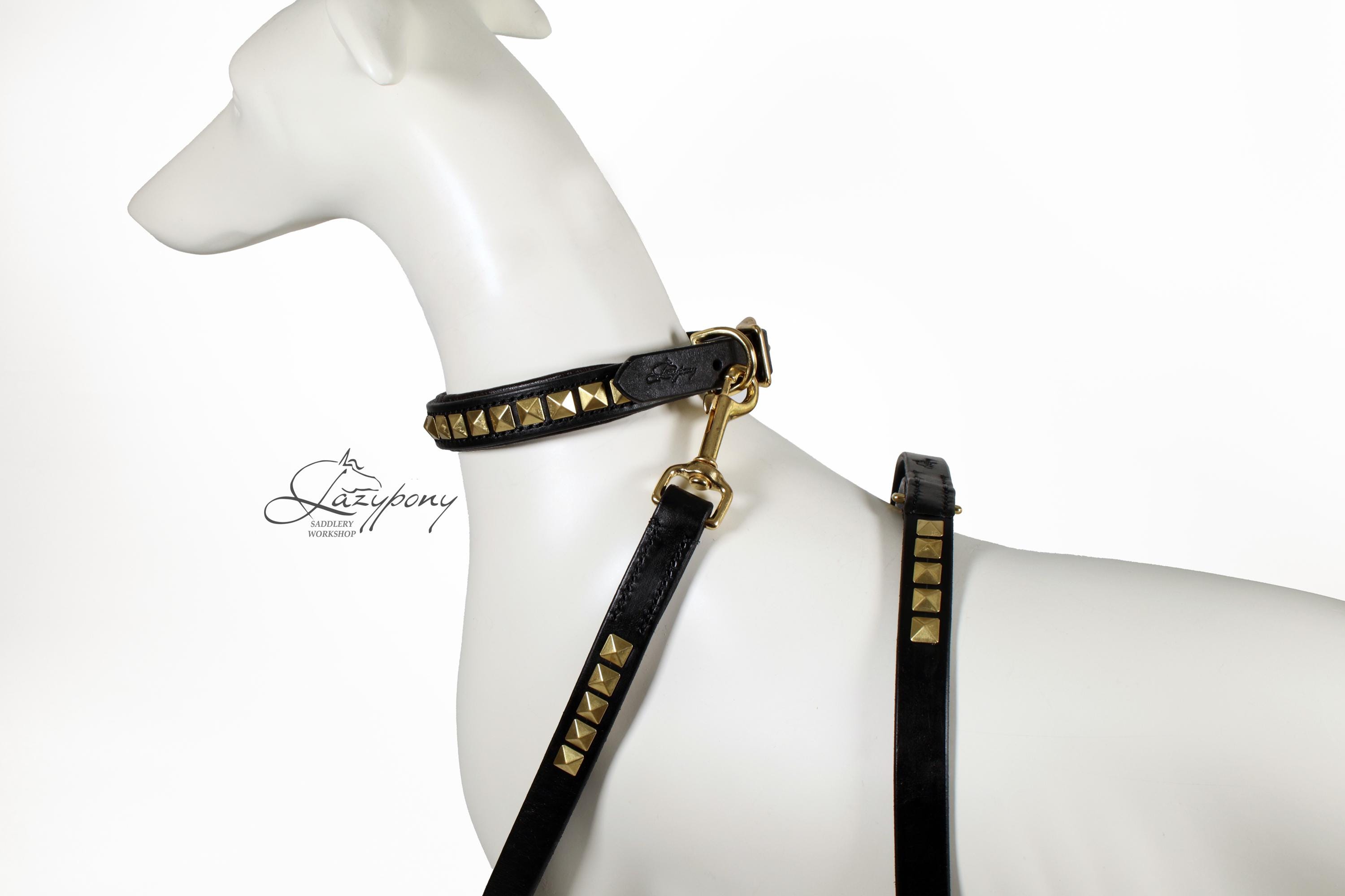 Martingale Hundehalsband Aus Echtem Leder | 2,5 Cm Breit, Verstellbar 17–50,8 Cm, Mit D-Ring